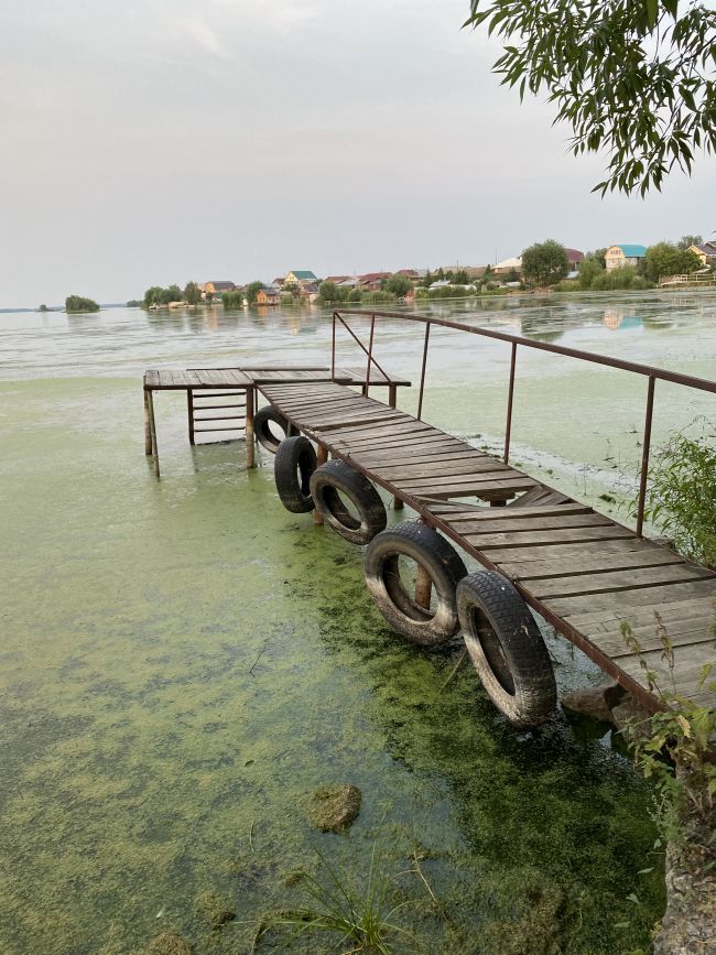 Касли